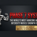 PHASE 7 SYSTEM GUIDE